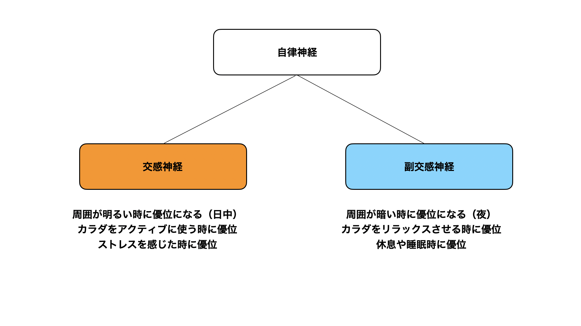 疲れたカラダをリセットするナイトルーティーン カラダのくすり箱 R Body Project